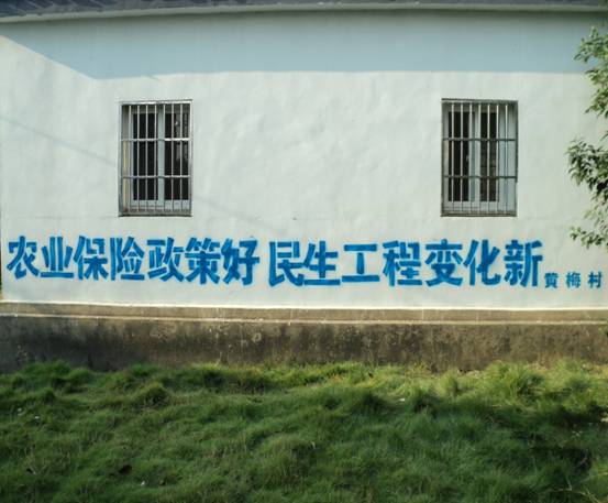 罗岭镇:加大宣传力度 推进农业保险