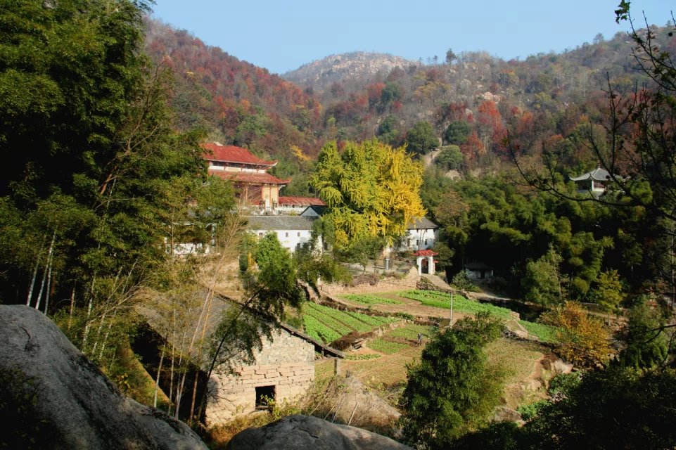 宜游宜秀 正文文/图·王四清 今年有两次机缘赴龙山第一刹景区拜谒