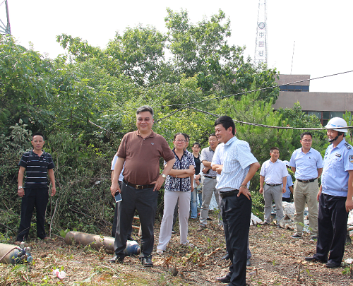 宜秀区在全市率先启动境内合安高速沿线高炮广告专项整治拆除工作