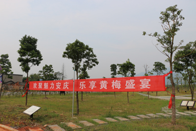龙山镇人口_滕州市官桥镇(2)