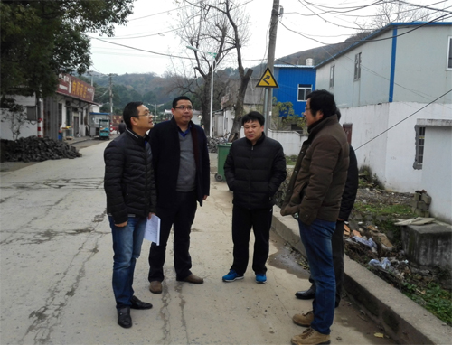江存富率队督查大龙山镇大桥街道白泽湖乡等地美丽乡村建设