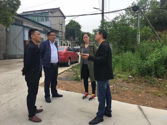4月26日,区委常委,副区长江存富来罗岭镇督查指导美丽乡村建设工作