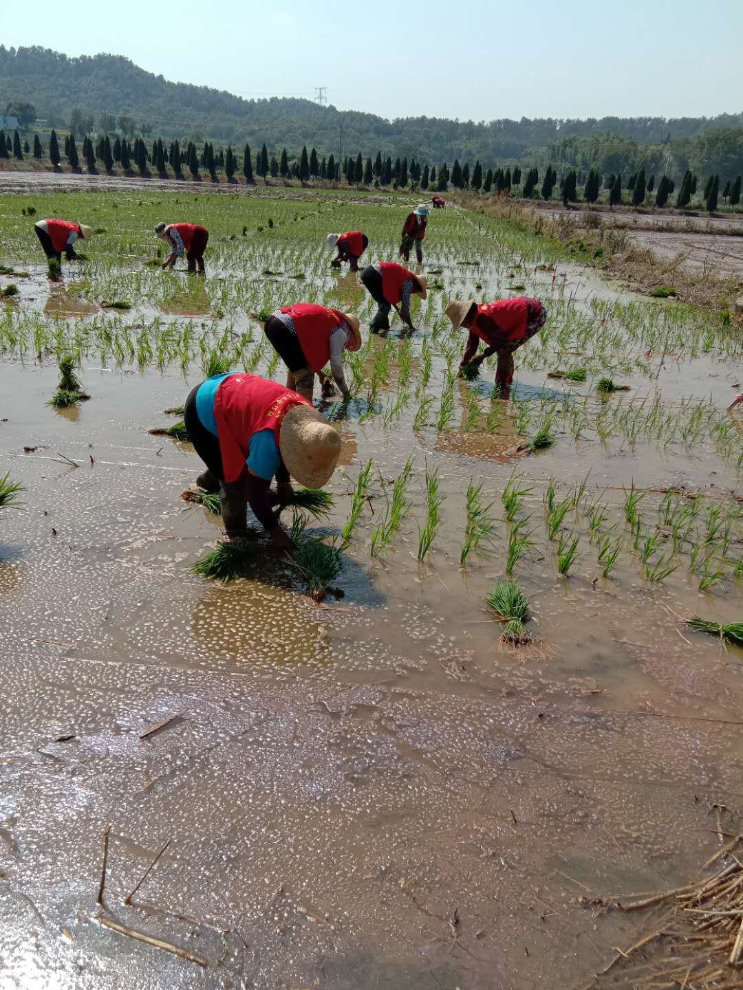 【村姑！摄影图片】开远人像摄影_红河老王_太平洋电脑网摄影部落