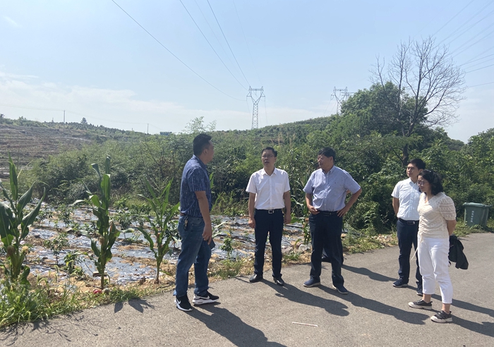 曹红斌到大龙山镇新新社区调研脱贫攻坚工作并走访脱贫户