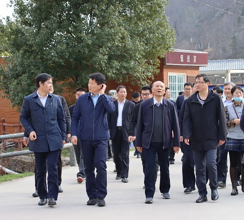 张红文到安徽大龙山国家森林公园调研林长制工作